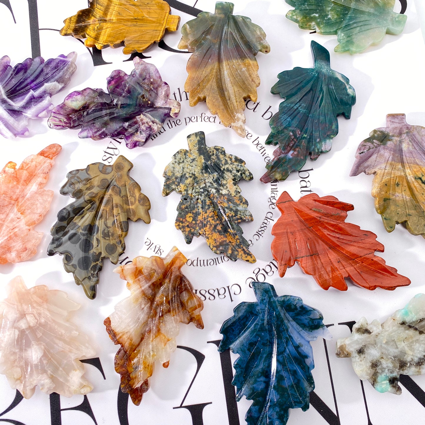 ocean jasper leaves
