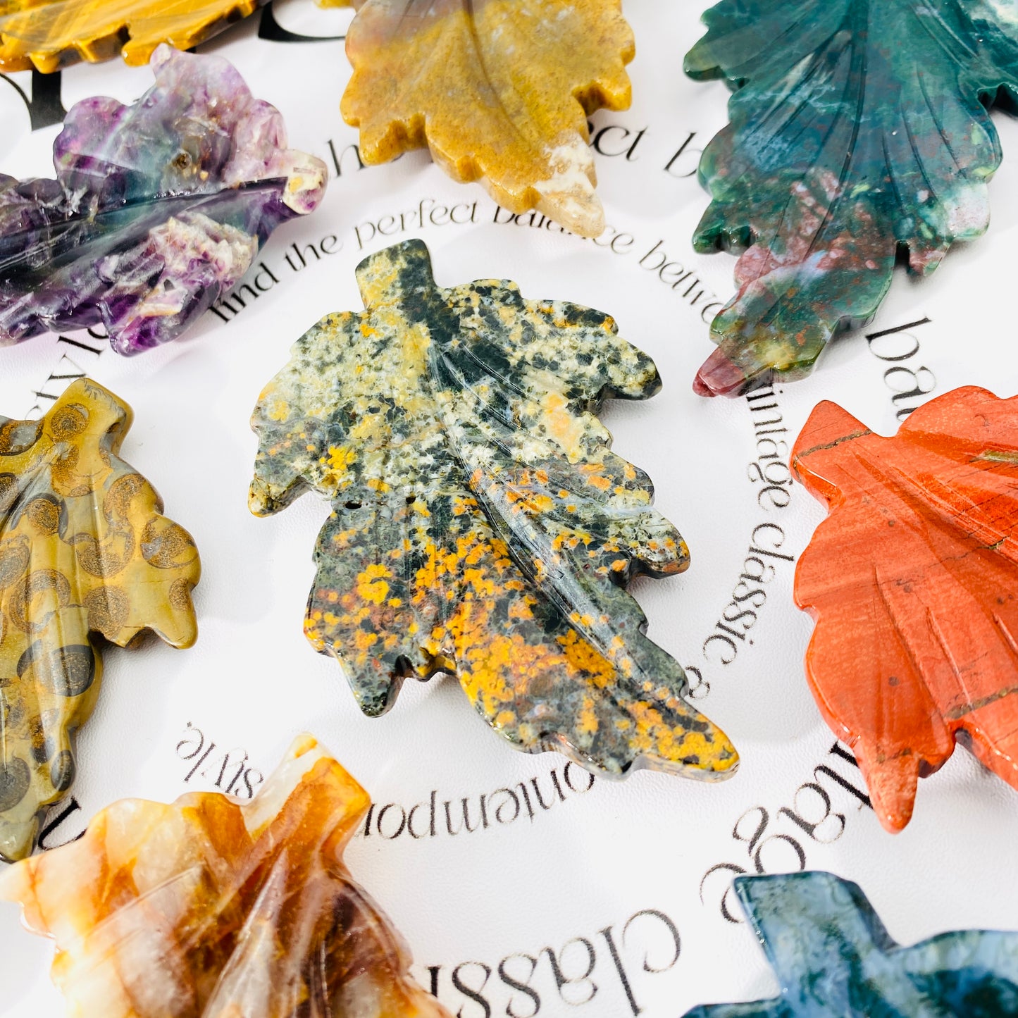 ocean jasper leaves