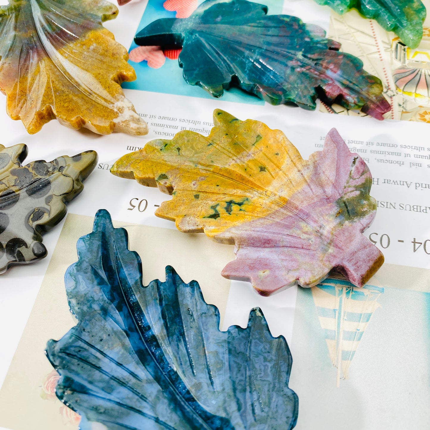 ocean jasper leaves