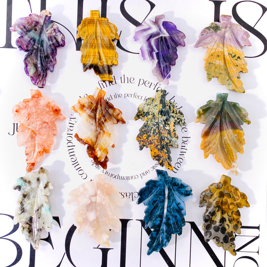 ocean jasper leaves
